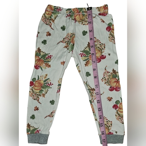 Burt's Bees Kids Boy Girl Thanksgiving Celebration Organic 2pc PJ Set Sz 3T - Picture 13 of 16
